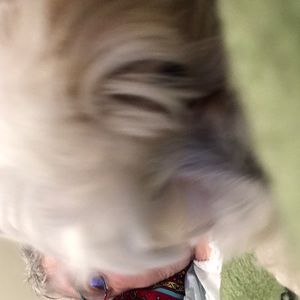 Meet your Posher, Phyllis